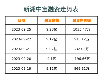 新湖中宝融资表