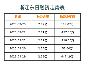 浙江东日融资表
