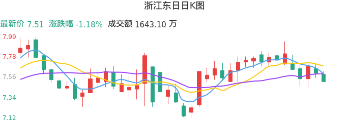 整体分析-日K图:浙江东日股票整体分析报告