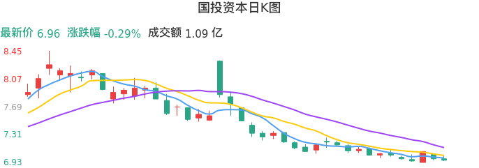 整体分析-日K图：国投资本股票整体分析报告