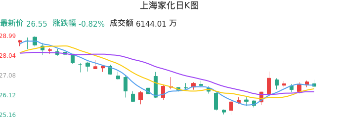 整体分析-日K图：上海家化股票整体分析报告