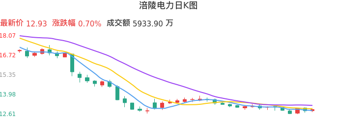整体分析-日K图：涪陵电力股票整体分析报告