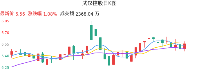 整体分析-日K图：武汉控股股票整体分析报告