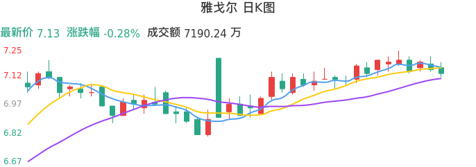 整体分析-日K图：雅戈尔股票整体分析报告