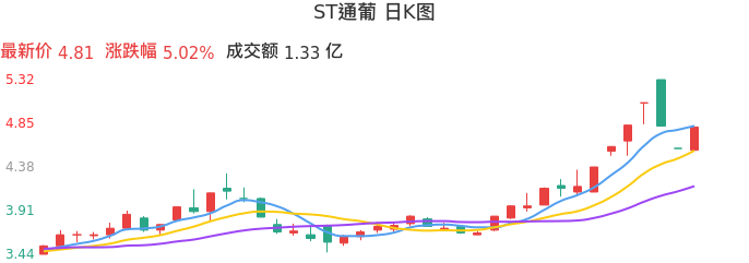 整体分析-日K图:ST通葡股票整体分析报告