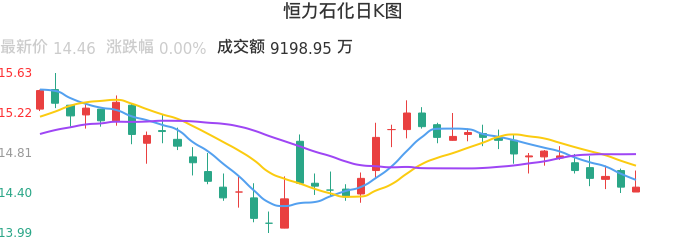 整体分析-日K图：恒力石化股票整体分析报告