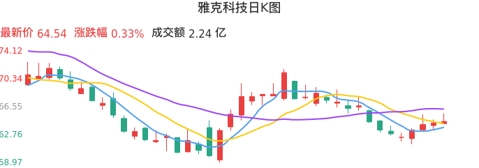整体分析-日K图：雅克科技股票整体分析报告
