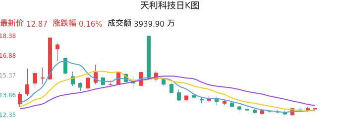 整体分析-日K图：天利科技股票整体分析报告