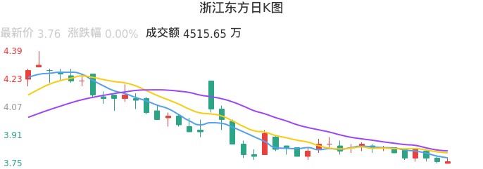 整体分析-日K图:浙江东方股票整体分析报告