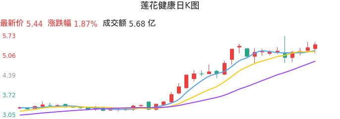 整体分析-日K图：莲花健康股票整体分析报告