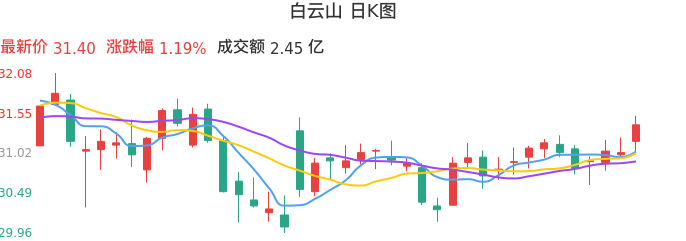 整体分析-日K图：白云山股票整体分析报告