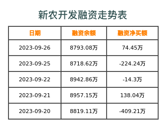 新农开发融资表