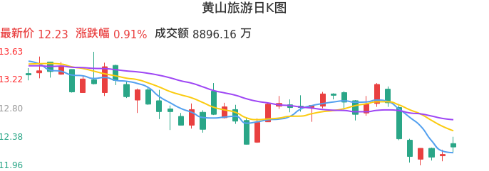 整体分析-日K图：黄山旅游股票整体分析报告