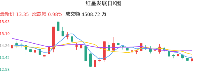 整体分析-日K图：红星发展股票整体分析报告