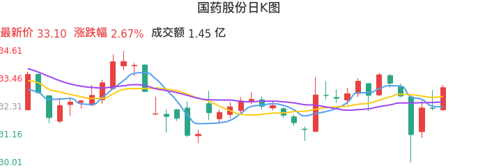 整体分析-日K图：国药股份股票整体分析报告