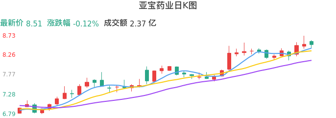 整体分析-日K图：亚宝药业股票整体分析报告