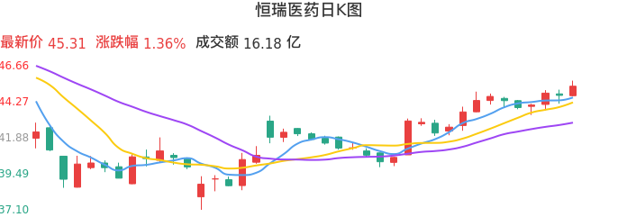 整体分析-日K图：恒瑞医药股票整体分析报告