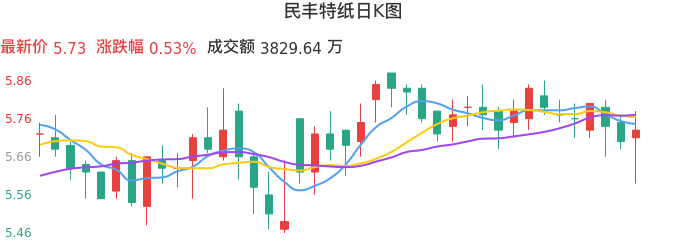 整体分析-日K图：民丰特纸股票整体分析报告