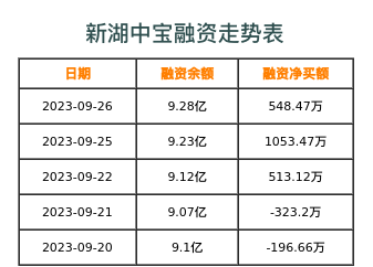 新湖中宝融资表