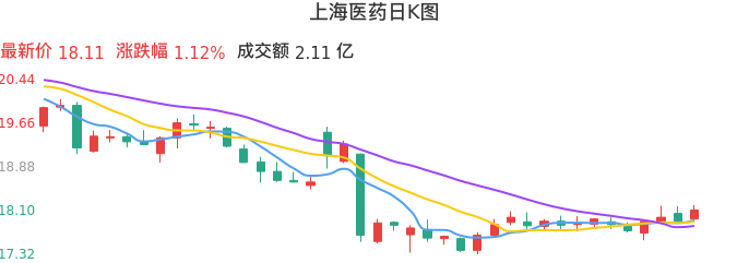 整体分析-日K图：上海医药股票整体分析报告
