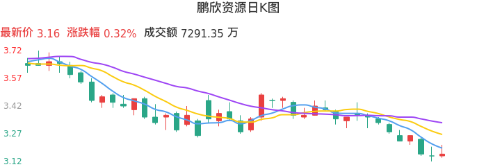 整体分析-日K图：鹏欣资源股票整体分析报告