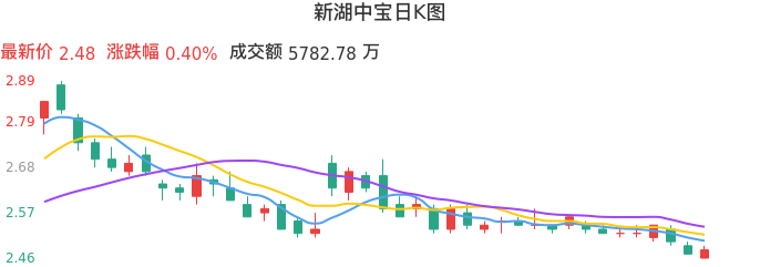 整体分析-日K图：新湖中宝股票整体分析报告