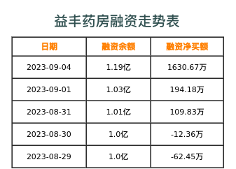 益丰药房融资表