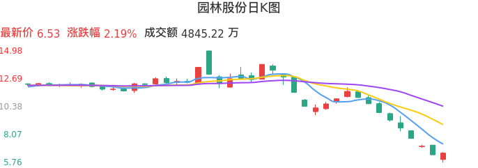 整体分析-日K图：园林股份股票整体分析报告