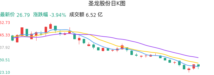 整体分析-日K图：圣龙股份股票整体分析报告