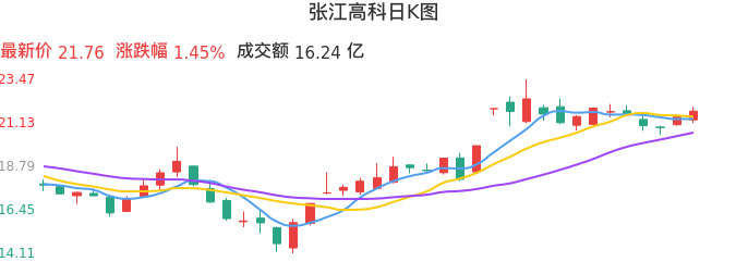 整体分析-日K图:张江高科股票整体分析报告