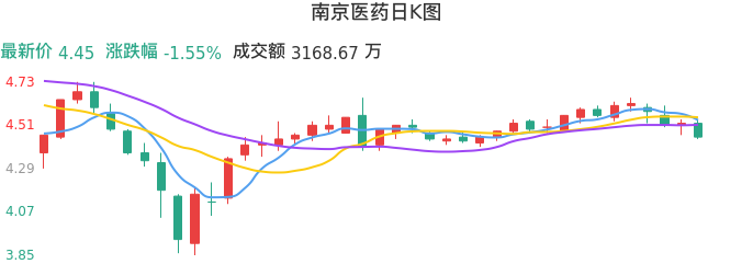 整体分析-日K图：南京医药股票整体分析报告