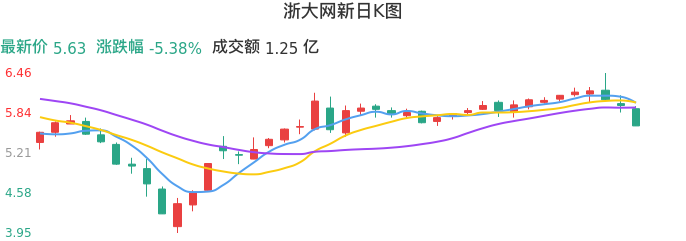 整体分析-日K图：浙大网新股票整体分析报告