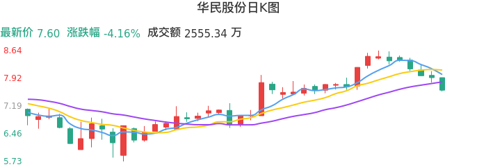 整体分析-日K图：华民股份股票整体分析报告