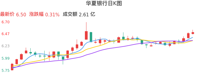 整体分析-日K图：华夏银行股票整体分析报告