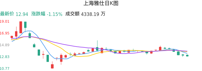 整体分析-日K图：上海雅仕股票整体分析报告