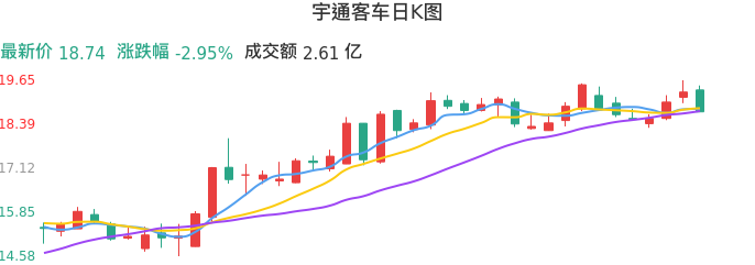 整体分析-日K图：宇通客车股票整体分析报告
