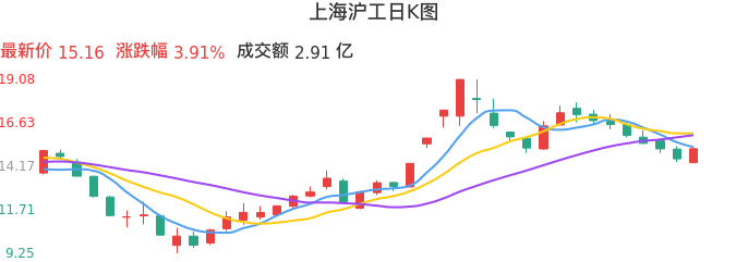 整体分析-日K图：上海沪工股票整体分析报告