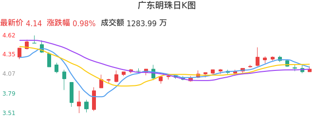 整体分析-日K图：广东明珠股票整体分析报告