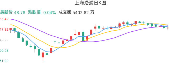 整体分析-日K图：上海沿浦股票整体分析报告