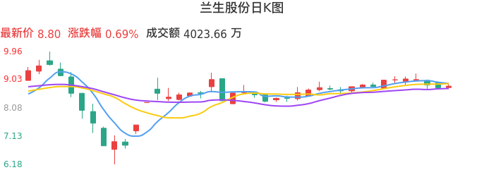 整体分析-日K图：兰生股份股票整体分析报告