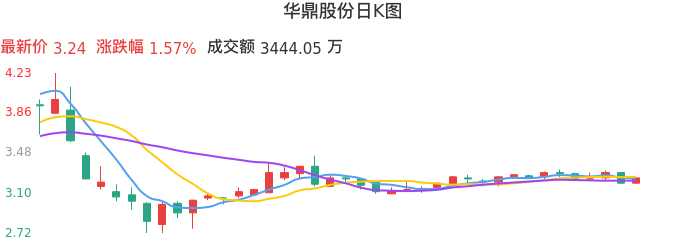 整体分析-日K图：华鼎股份股票整体分析报告