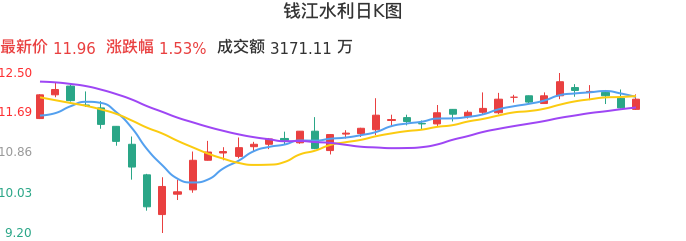整体分析-日K图：钱江水利股票整体分析报告