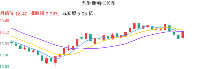 整体分析-日K图：五洲新春股票整体分析报告