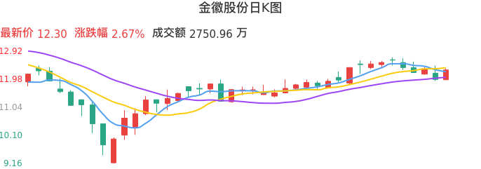 整体分析-日K图：金徽股份股票整体分析报告
