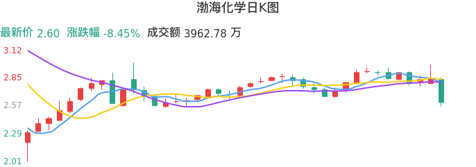 整体分析-日K图：渤海化学股票整体分析报告