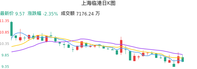 整体分析-日K图：上海临港股票整体分析报告