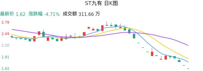 整体分析-日K图：ST九有股票整体分析报告