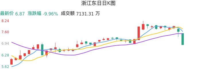 整体分析-日K图：浙江东日股票整体分析报告