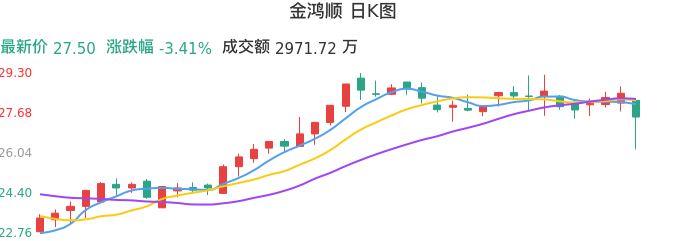 整体分析-日K图：金鸿顺股票整体分析报告