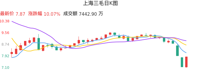 整体分析-日K图：上海三毛股票整体分析报告